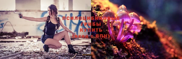 спиды Белокуриха