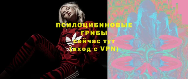 спиды Белокуриха