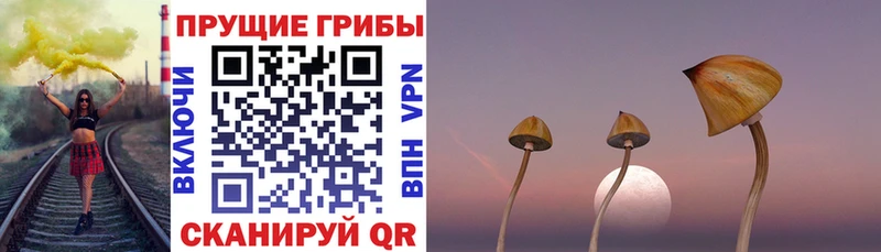 дарнет шоп  Мурманск  Галлюциногенные грибы ЛСД 