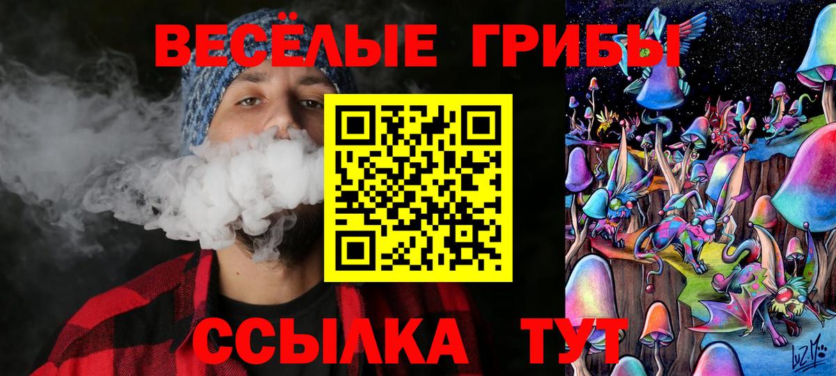 как найти   Псилоцибиновые грибы GOLDEN TEACHER  Вход с VPN  Мурманск  Галлюциногенные грибы Cubensis 