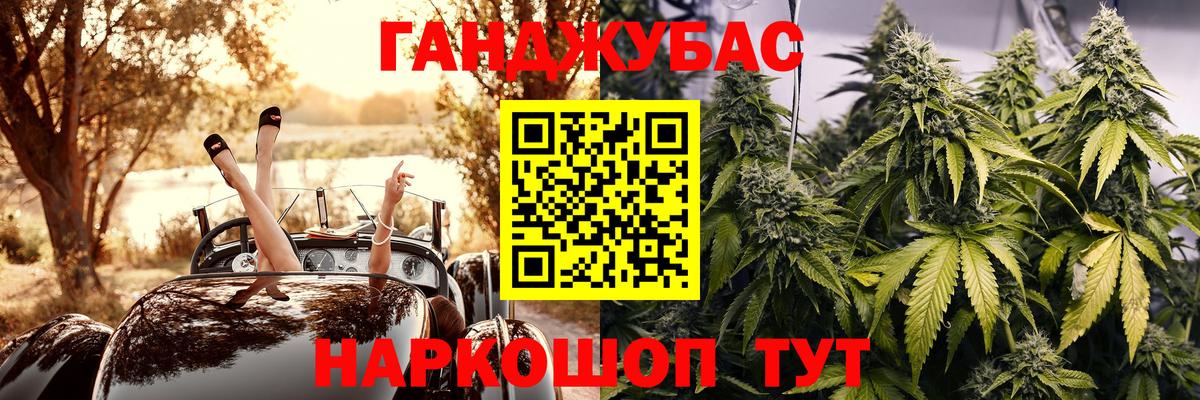 Каннабис планчик  Бошки марихуана сатива  Мурманск  Вход с VPN 